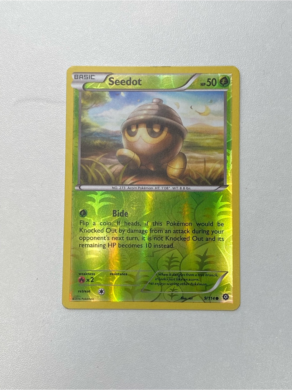 Pokemon TCG Card 2016 Steam Siege Seedot 9/114 Reverse Holo